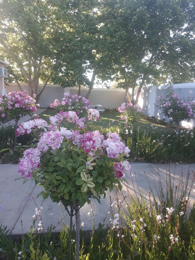 The Fancy Cactus Διαμέρισμα Colesberg Εξωτερικό φωτογραφία