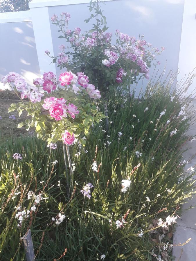 The Fancy Cactus Διαμέρισμα Colesberg Εξωτερικό φωτογραφία