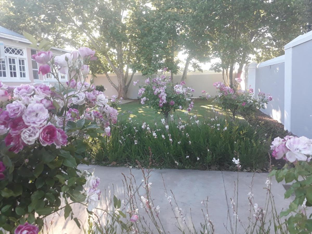 The Fancy Cactus Διαμέρισμα Colesberg Εξωτερικό φωτογραφία